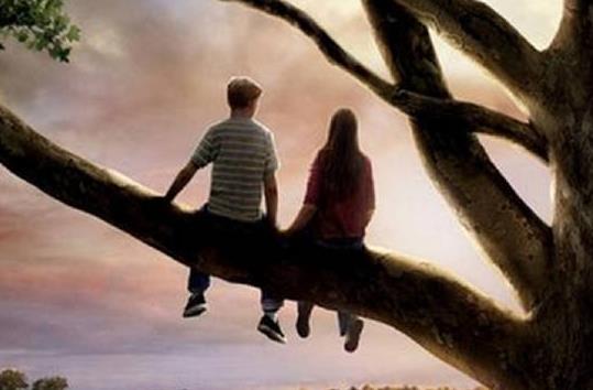 ��ѡ5���ʺ����¿��ĸ߷ְ����Ӱ